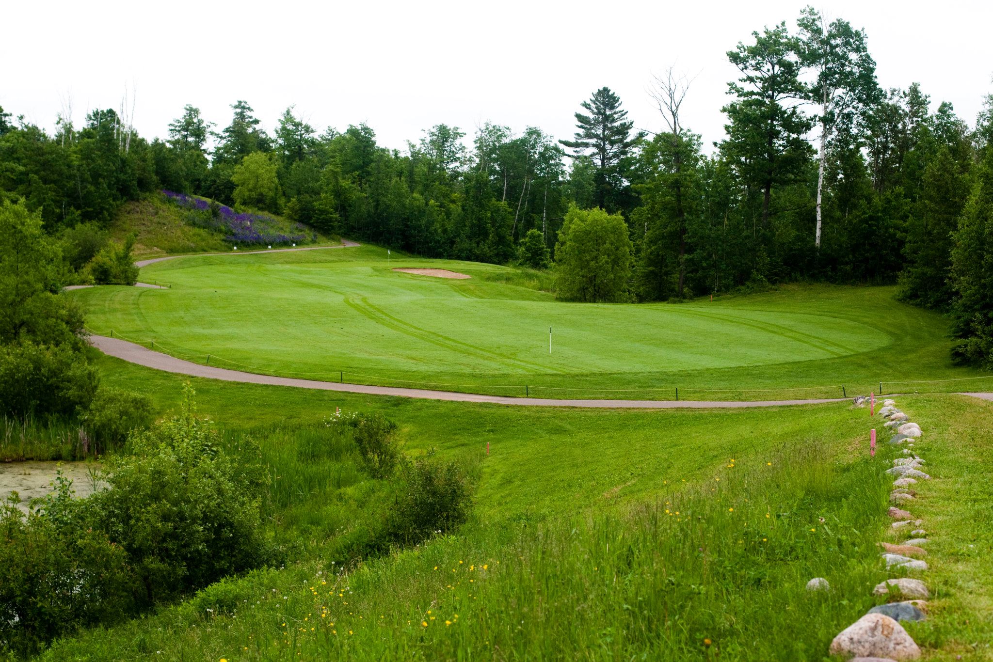 Weekly Golf Special - Iron Range Golf Specials